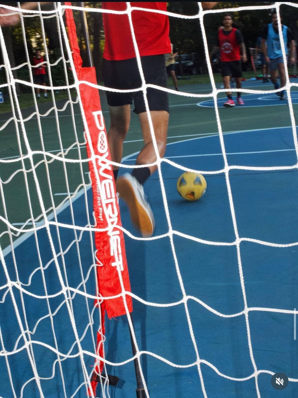 View through the net of an attacker advancing
